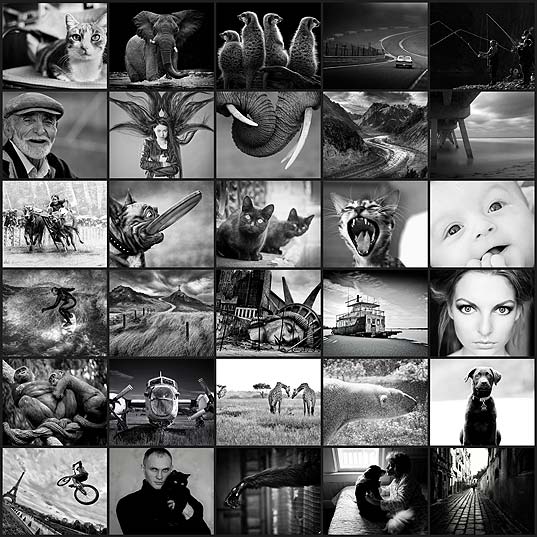 【壁紙】素敵な白黒写真30