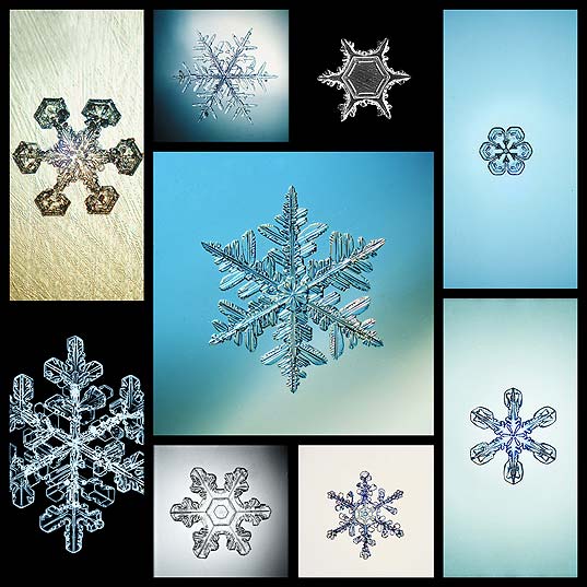 mesmerizing-macro-images-of-snowflakes-by-sergey-kichigin11