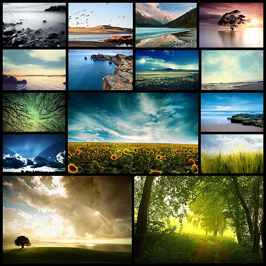 ww-nature-wallpapers15