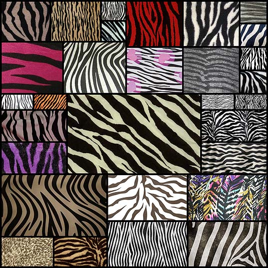 zebra-print-texture-free-download30