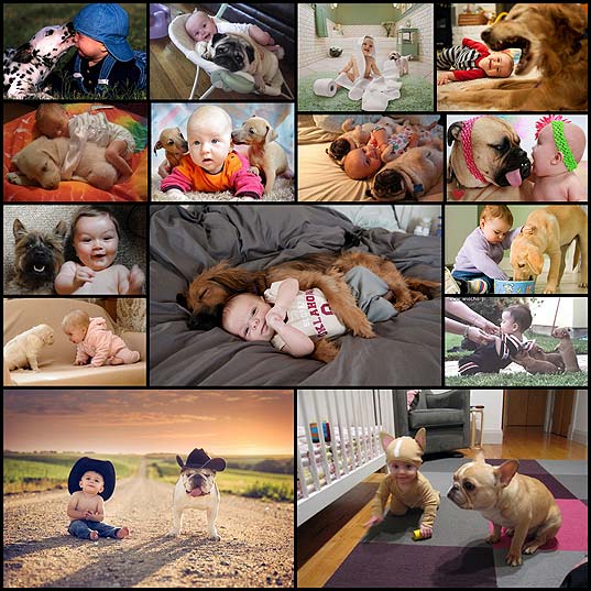 friendship-as-told-by-babies-and-their-dogs15