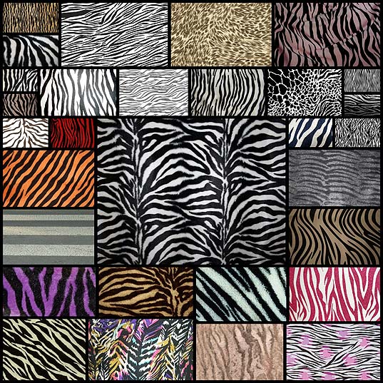 zebra-print-texture-for-free-download30