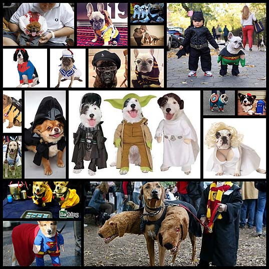 dogs-in-movie-star-halloween-costumes19
