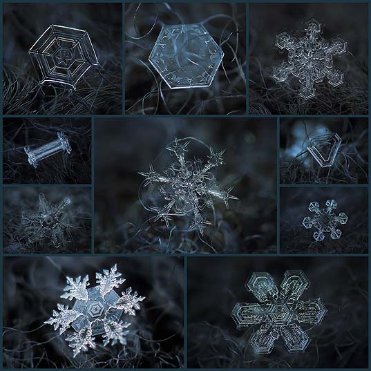 macro-close-ups-of-snowflakes-alexey-kljatov10