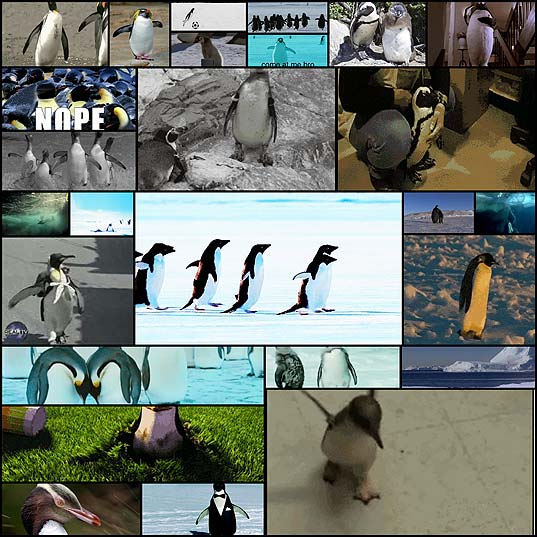 reasons-that-penguins22
