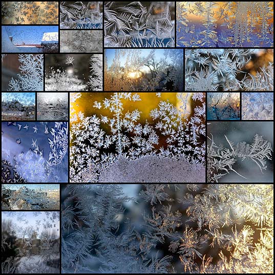 frost-on-glass-ice-flower-art20