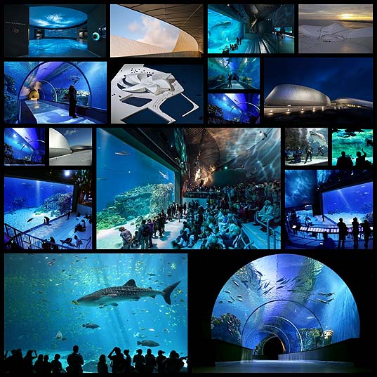 kastrup-has-the-most-amazing-aquarium-18-pics