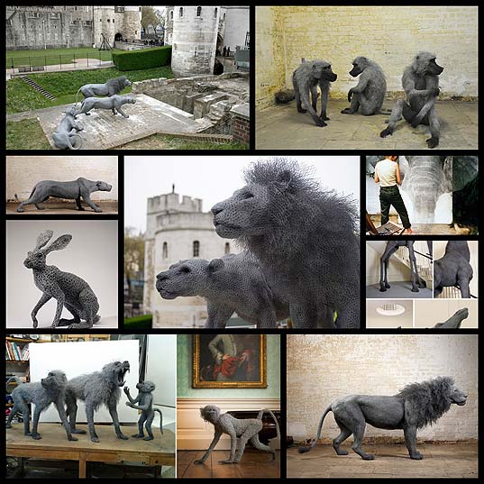 lifelike-galvanized-wire-animal-sculptures-by-kendra-haste10