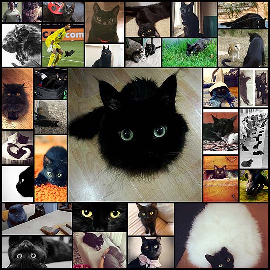 28-Reasons-To-Love-Black-Cats