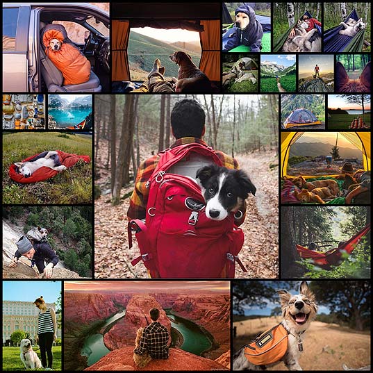 “Camping-With-Dogs”-Instagram-Will-Inspire-You-To-Go-Hiking-With-Your-Dog--Bored-Panda