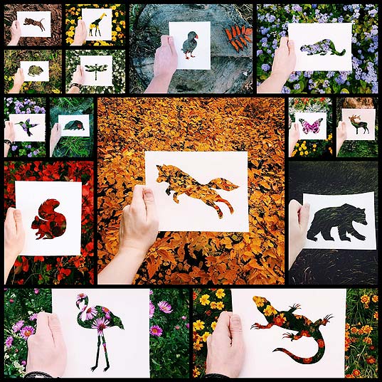 Artist-Uses-Nature-To-Color-Animal-Paper-Silhouettes--Bored-Panda