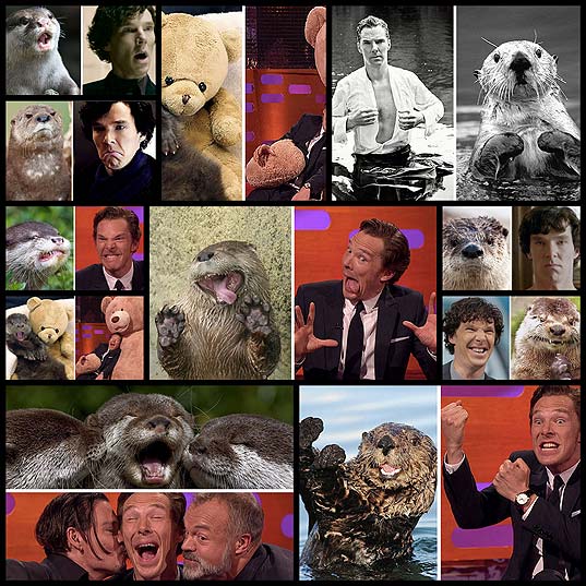Rumors-Confirmed-Benedict-Cumberbatch-Is-An-Otter-(10+-Pics)--Bored-Panda