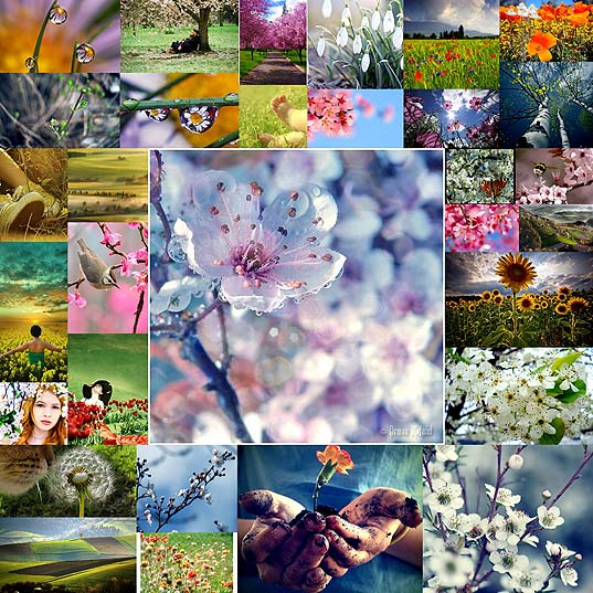 38-Stunningly-Gorgeous-Spring-Pictures