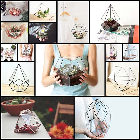 Geometric-Glass-Planters-Combine-an-Industrial-Aesthetic-with-Lush-Nature---My-Modern-Met