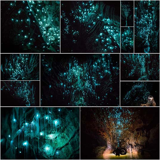 Glow-Worms-Turn-New-Zealand-Cave-Into-Starry-Night-And-I-Spent-Past-Year-Photographing-It--Bored-Panda