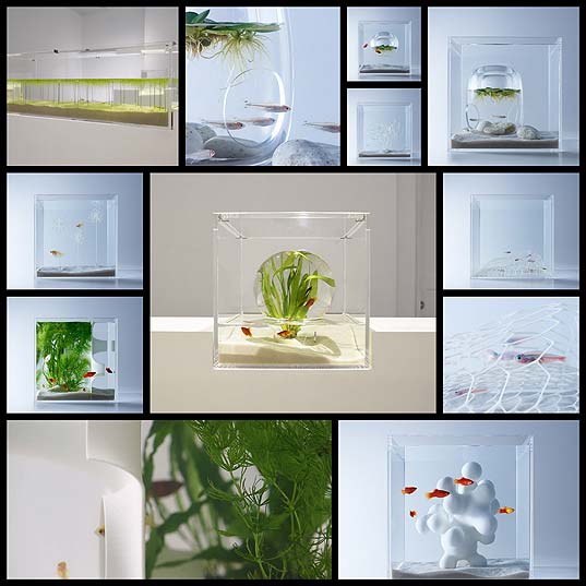 Minimalist-Aquariums-Filled-With-3D-Printed-Flora-by-Designer-Haruka-Misawa--Colossal