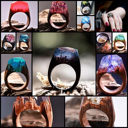 The-Different-Seasons-Are-Captured-Inside-These-Impressive-Wooden-Rings-(14-pics)