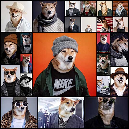 Dapper Dog Dressed in Human Clothes Is the Most Stylish Menswear Model - My Modern Met