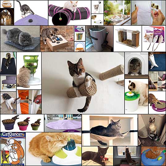 25-affordable-products-you-didnt-know-you-needed-for-your-cat