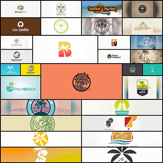 30 Creative Examples Of Palm Tree Logo Designs Naldz Graphics
