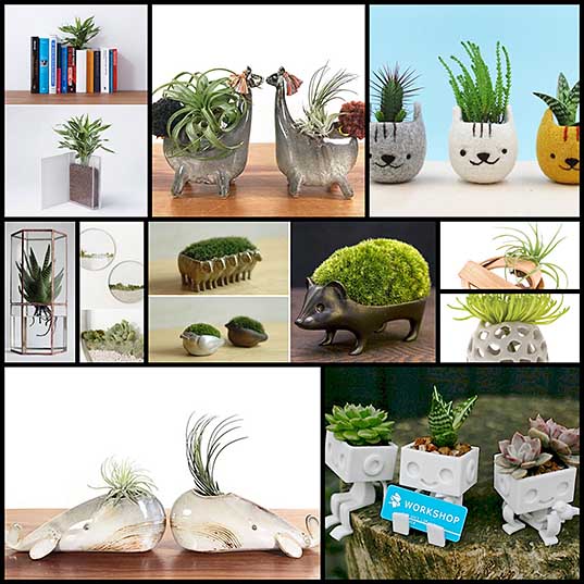 10 New Creative Planter for this Spring – Design Swan