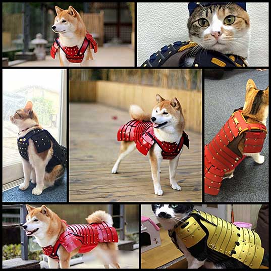 Одна компания из Японии создает самурайскую броню для кошек и собак