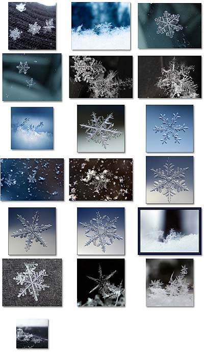 雪の結晶