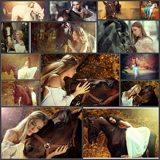 壁紙 Shibina Nadegdaによる馬と女性の綺麗な写真14枚 いぬらぼ