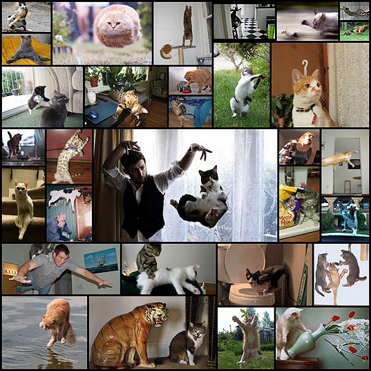 壁紙 猫のおもしろ画像35枚 いぬらぼ