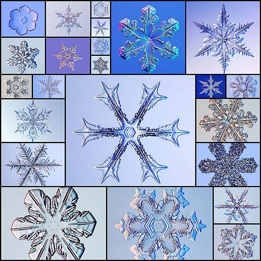 美しい雪の結晶の写真23枚 いぬらぼ