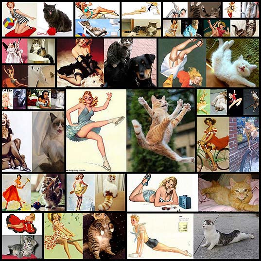 cats_do_pinup_posters_purrfectly_24_pics