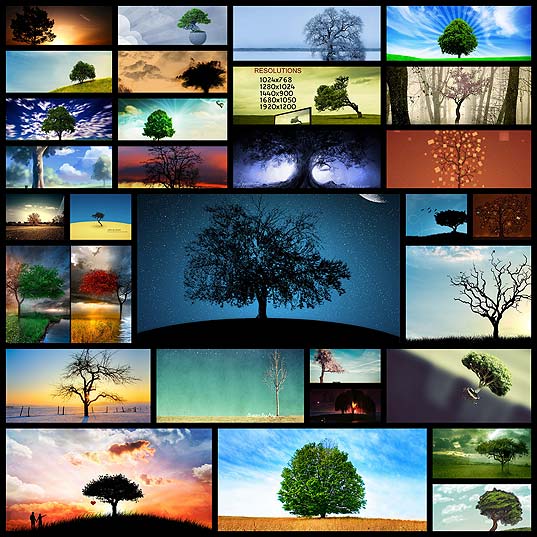 lovely-tree-wallpapers-free30