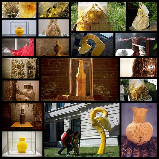 natures-3d-printers-honeycomb-bee-sculpture-art19