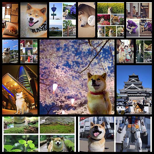 an-unbelievably-adorable-way-to-see-japan-without-traveling15