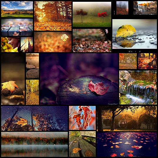 a-detailed-guide-to-photographing-fall-foliage24