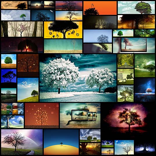 lovely-free-tree-wallpapers43