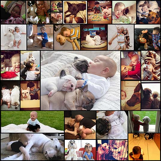 the-27-most-adorable-baby-and-dog-friendships-of-2013