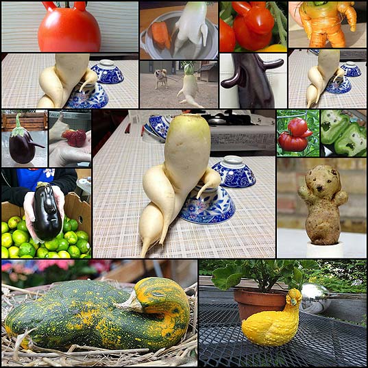 human_vegetables15