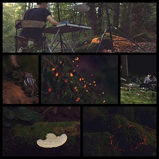 a-bioluminescent-forest-created-with-digital-projection-mapping6