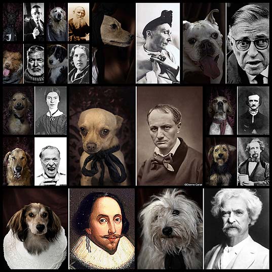 rescue-dogs-that-look-like-famous-writers14