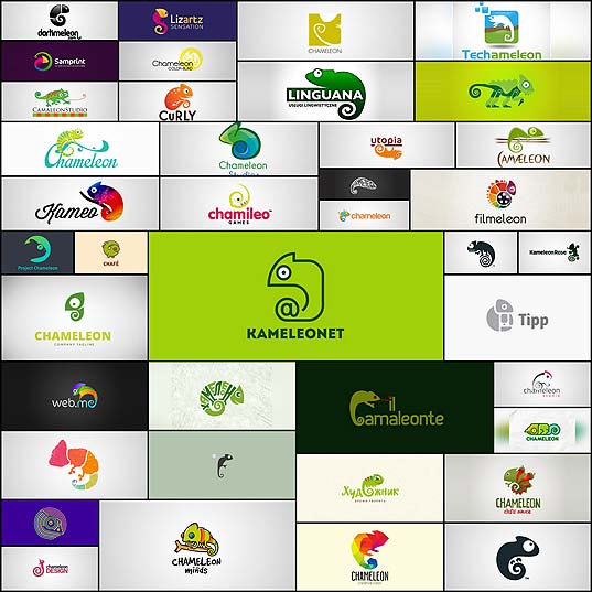 chameleon-logo-design40