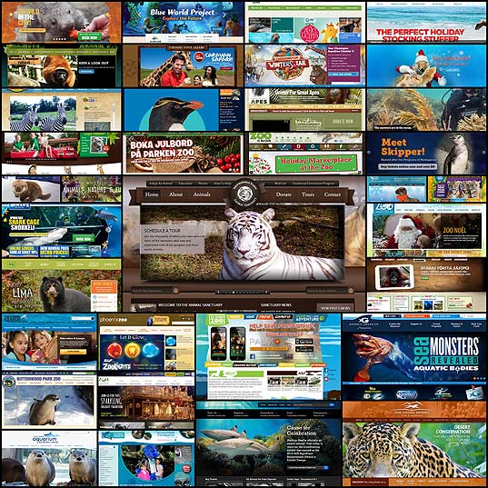 35-inspiring-websites-zoos-and-aquariums