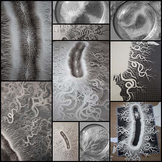 paper-cuttings-ecoli-bacteria-cut-microbe-rogan-brown10
