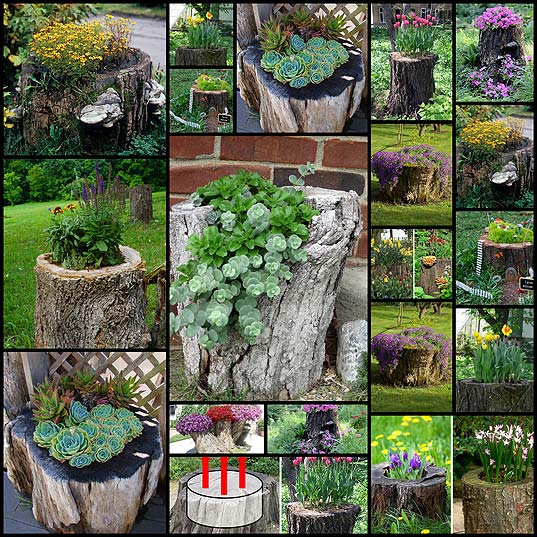 recycled-tree-stump-planter-garden19