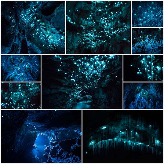 ラピュタに出る飛行石の洞窟のようなニュージーランドのワイトモ洞窟の写真 11枚 いぬらぼ