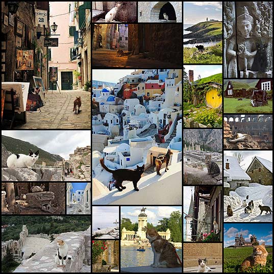 22-великолепные-фотографии-котов-и-достопримечательностей-мира