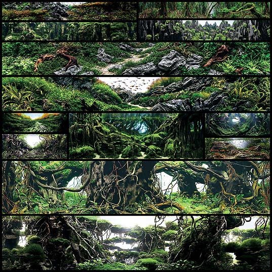 Cgよりも美しいアートなアクアリウム 世界水草レイアウトコンテスト15 の幻想的な作品 13枚 いぬらぼ