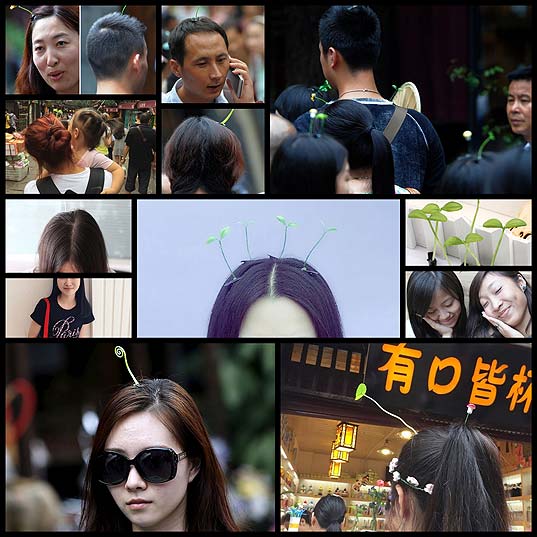 Sprout-Hair-Pins-Are-The-Latest-Trend-In-China--Bored-Panda