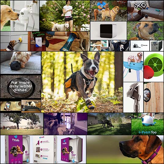 20-Gift-Ideas-For-Dog-Owners-This-Holiday-Season