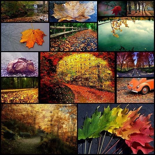 15-Awesome-fall-wallpapers-to-get-you-in-the-spirit-•-Inspired-Magazine